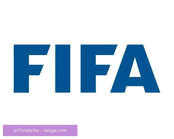 世界杯官方指定用球成功通过FIFA严格终极测试认证彰显卓越品质